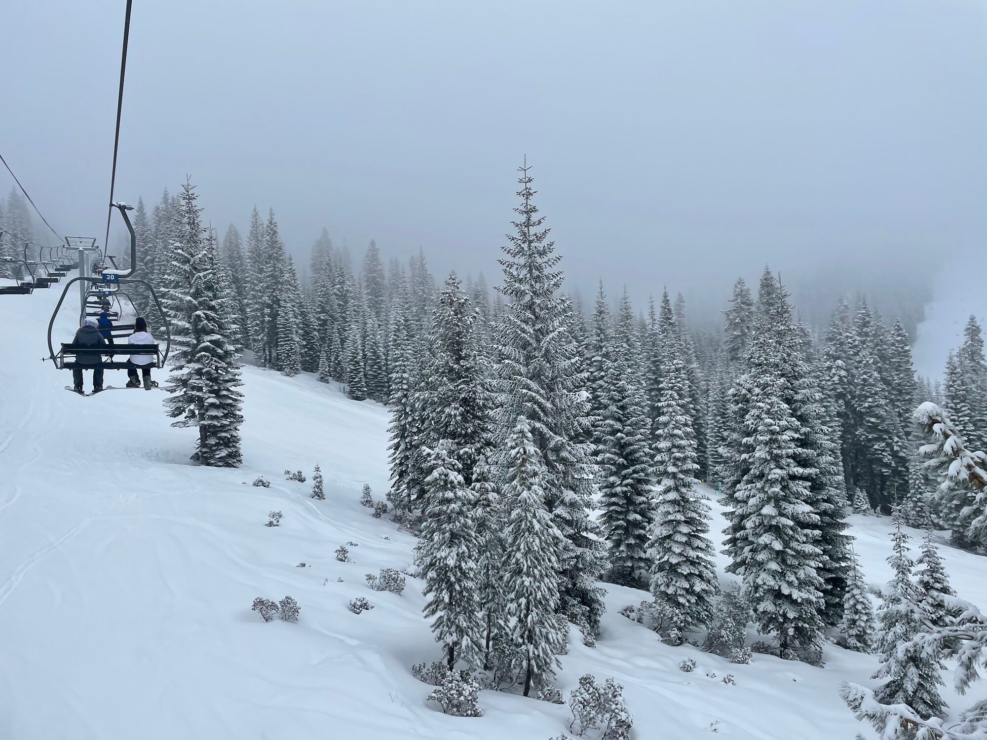 ski