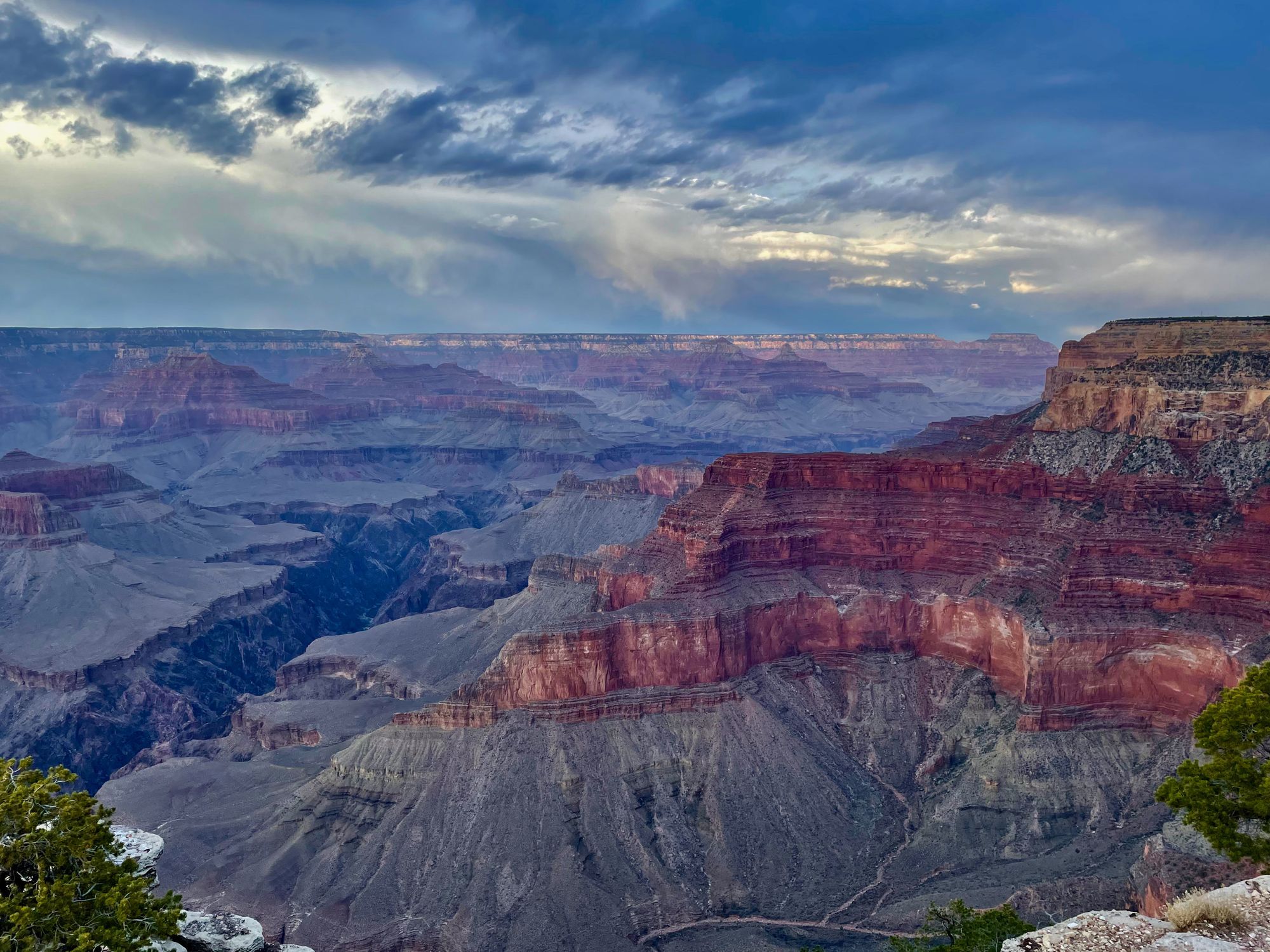 arizona
