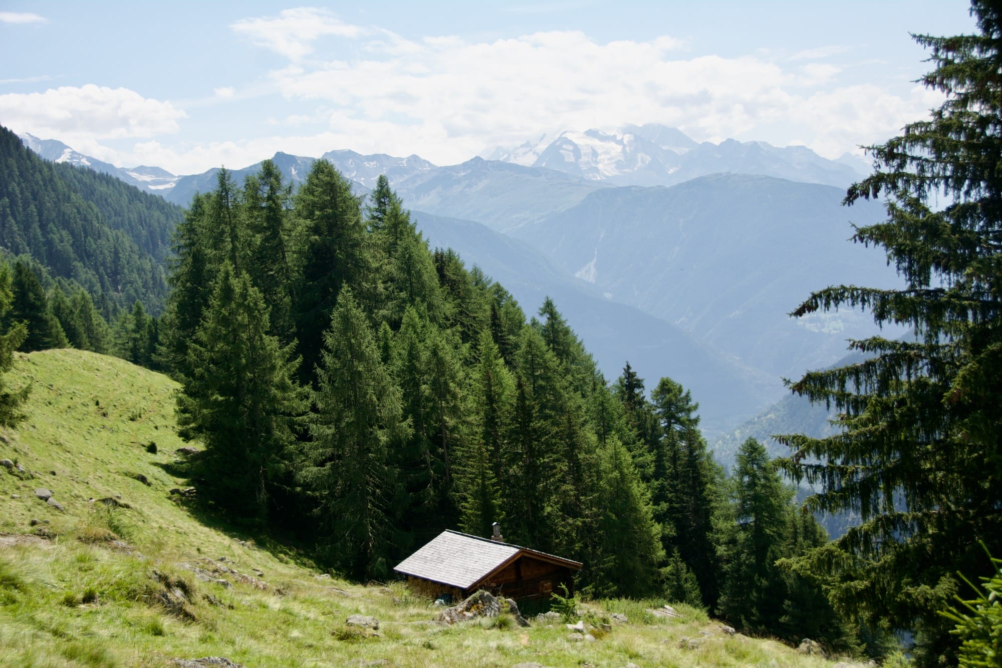 suisse