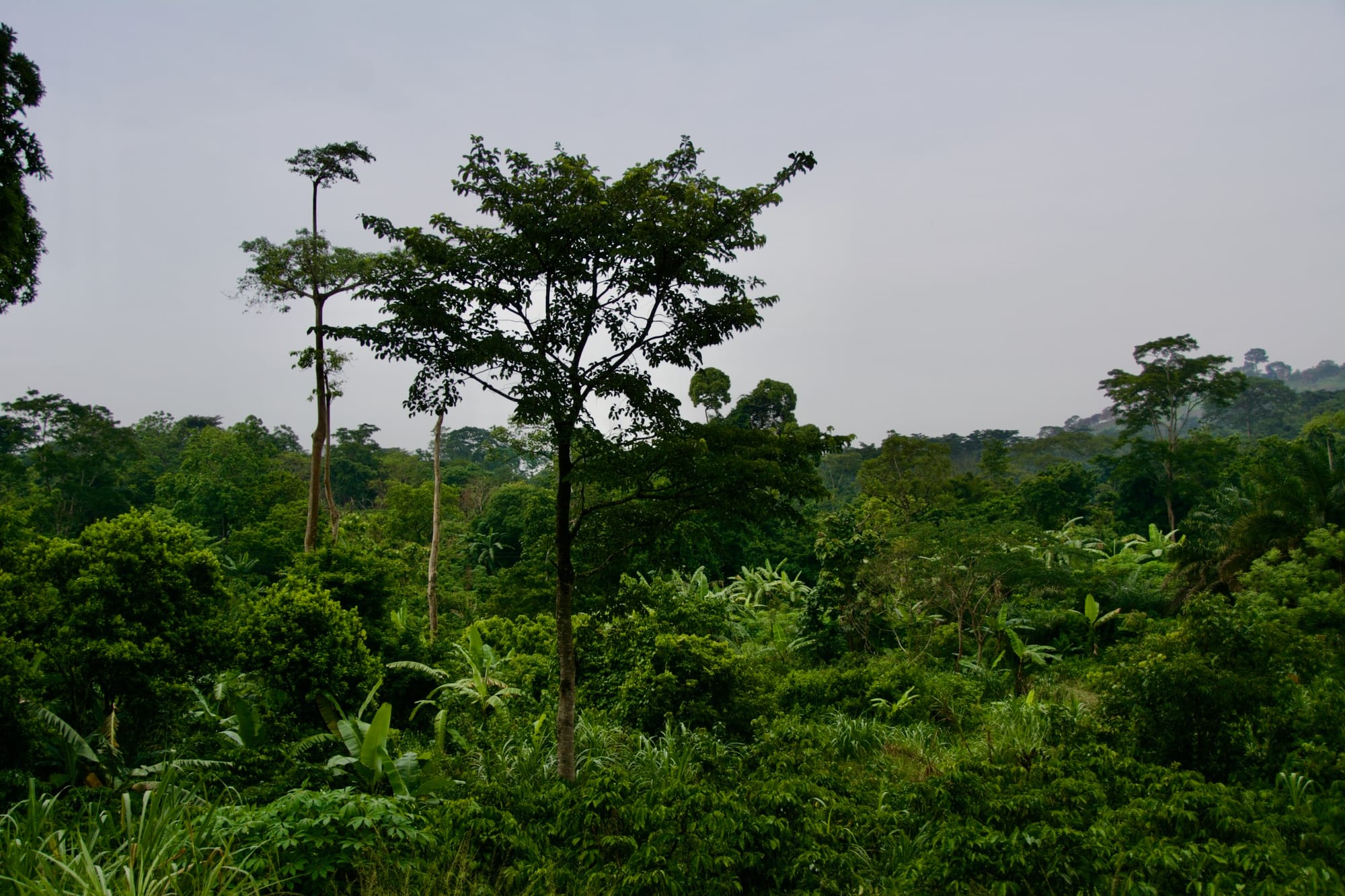 togo