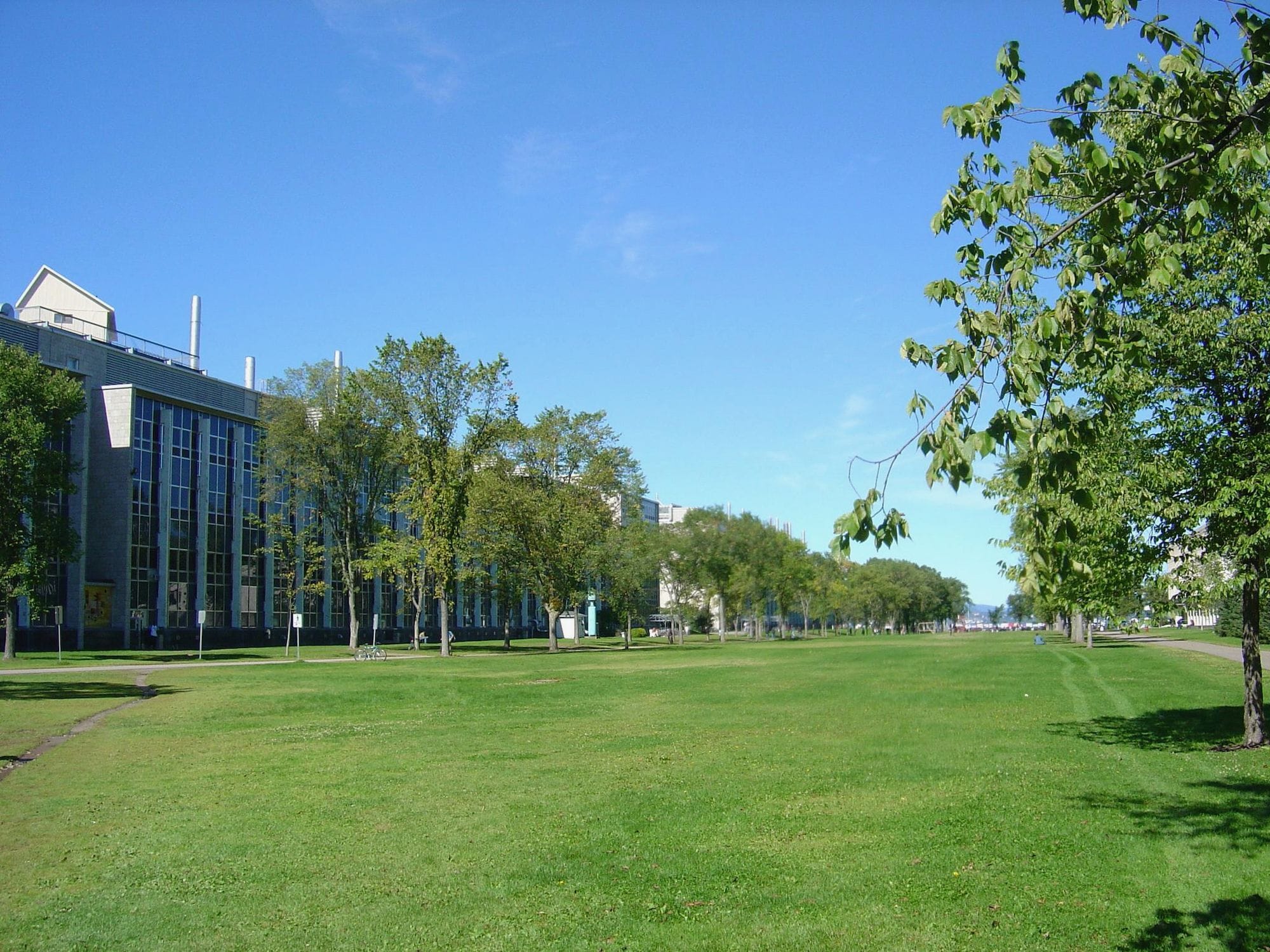 L’université