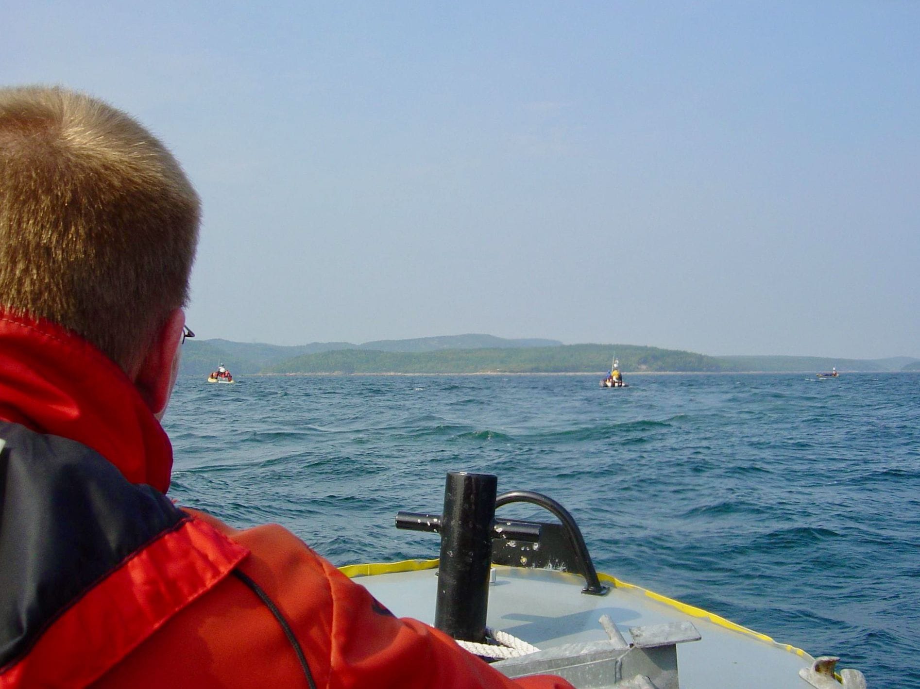 Les baleines de Tadoussac