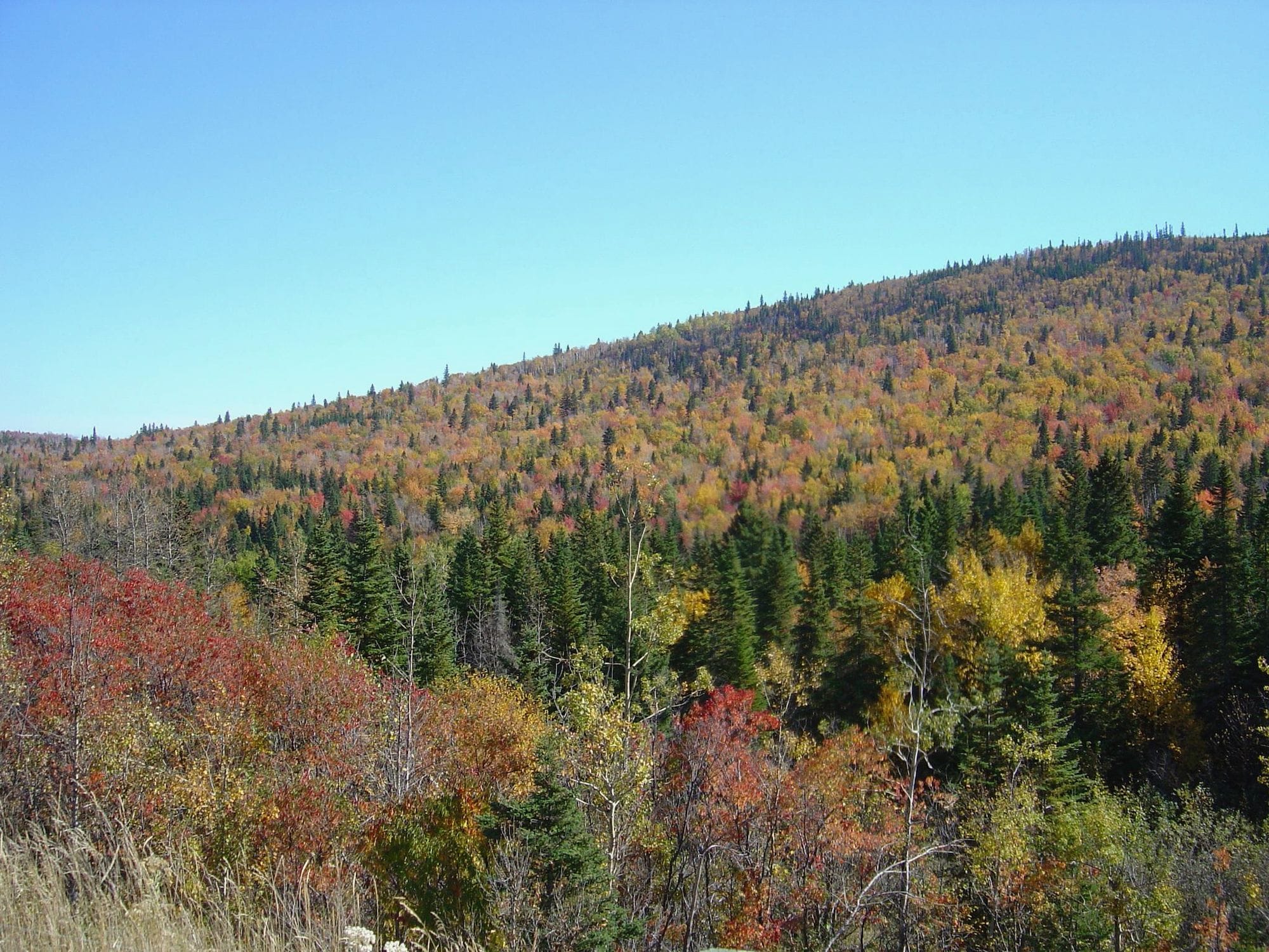 Baie St Paul