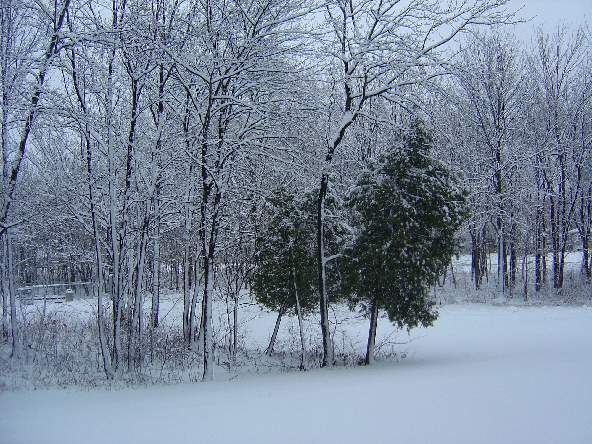 L’hiver est là
