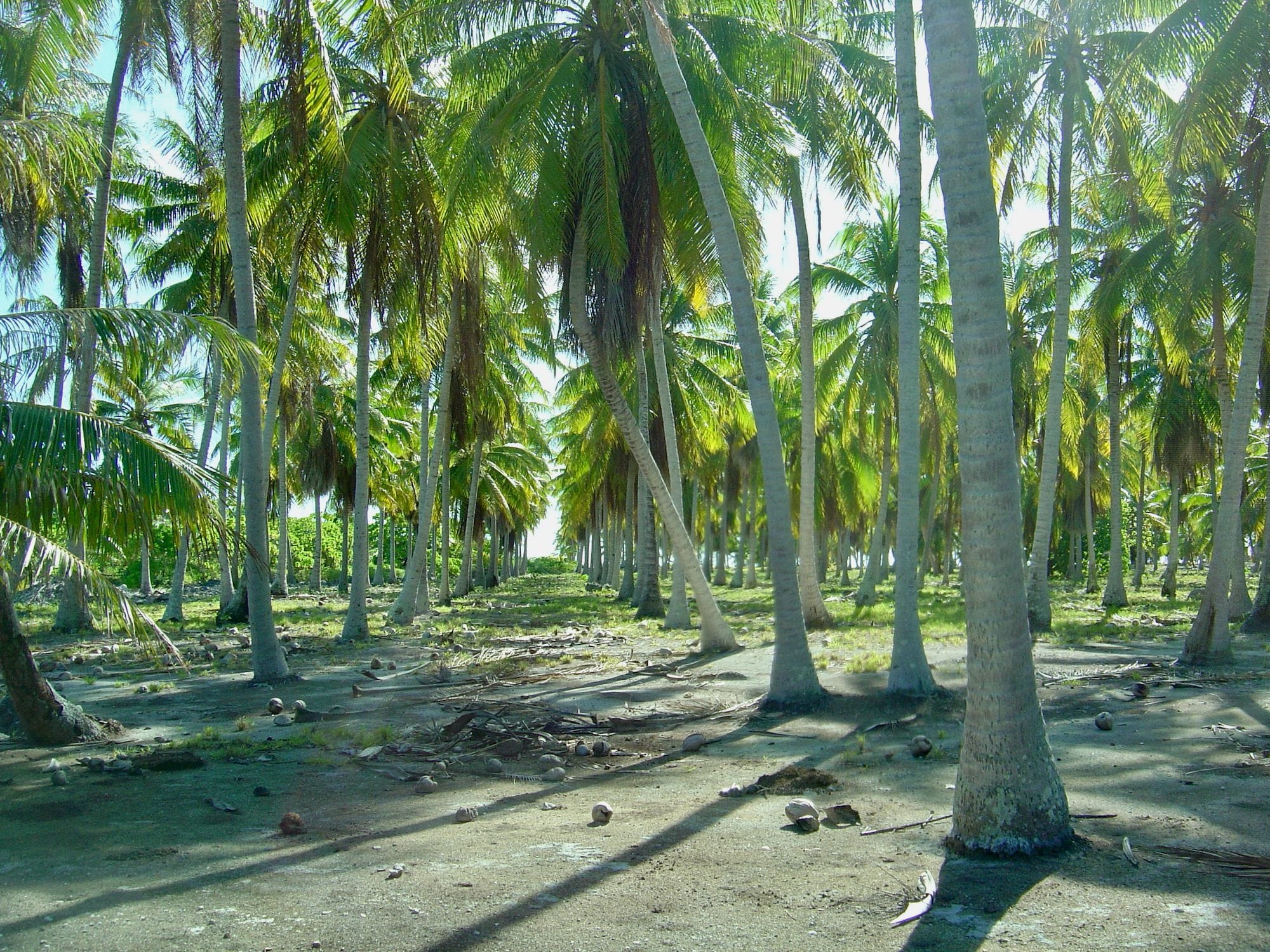 Vie sur Manihi