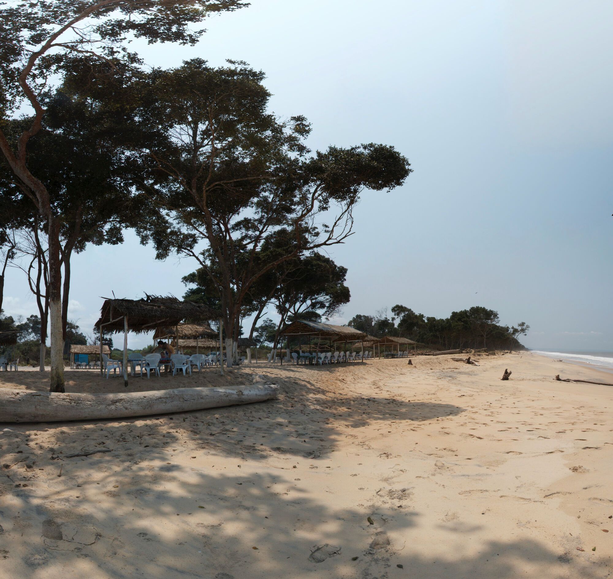 Bois de Singe, plage de Tchissanga