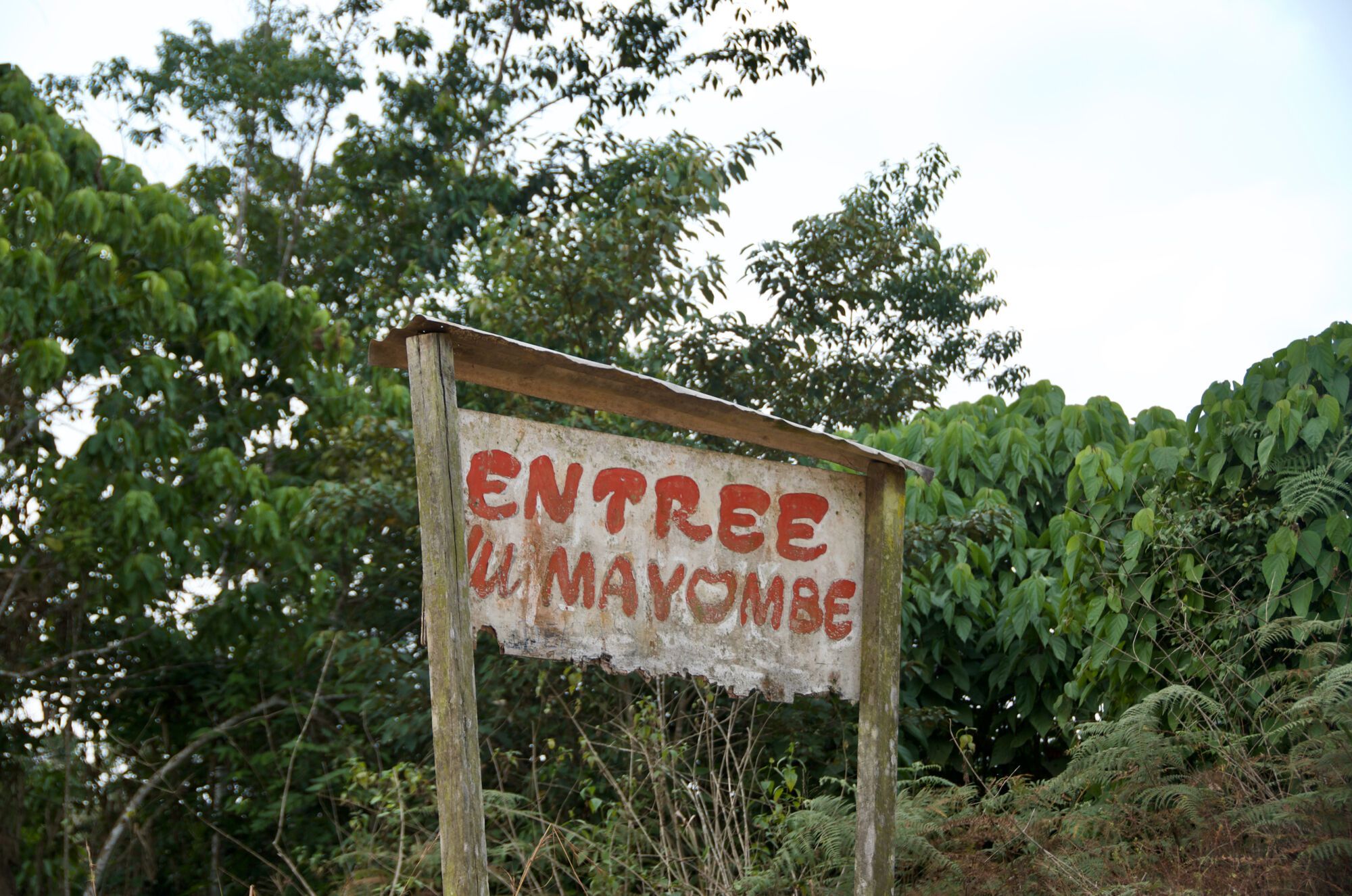 Pistes du Mayombe