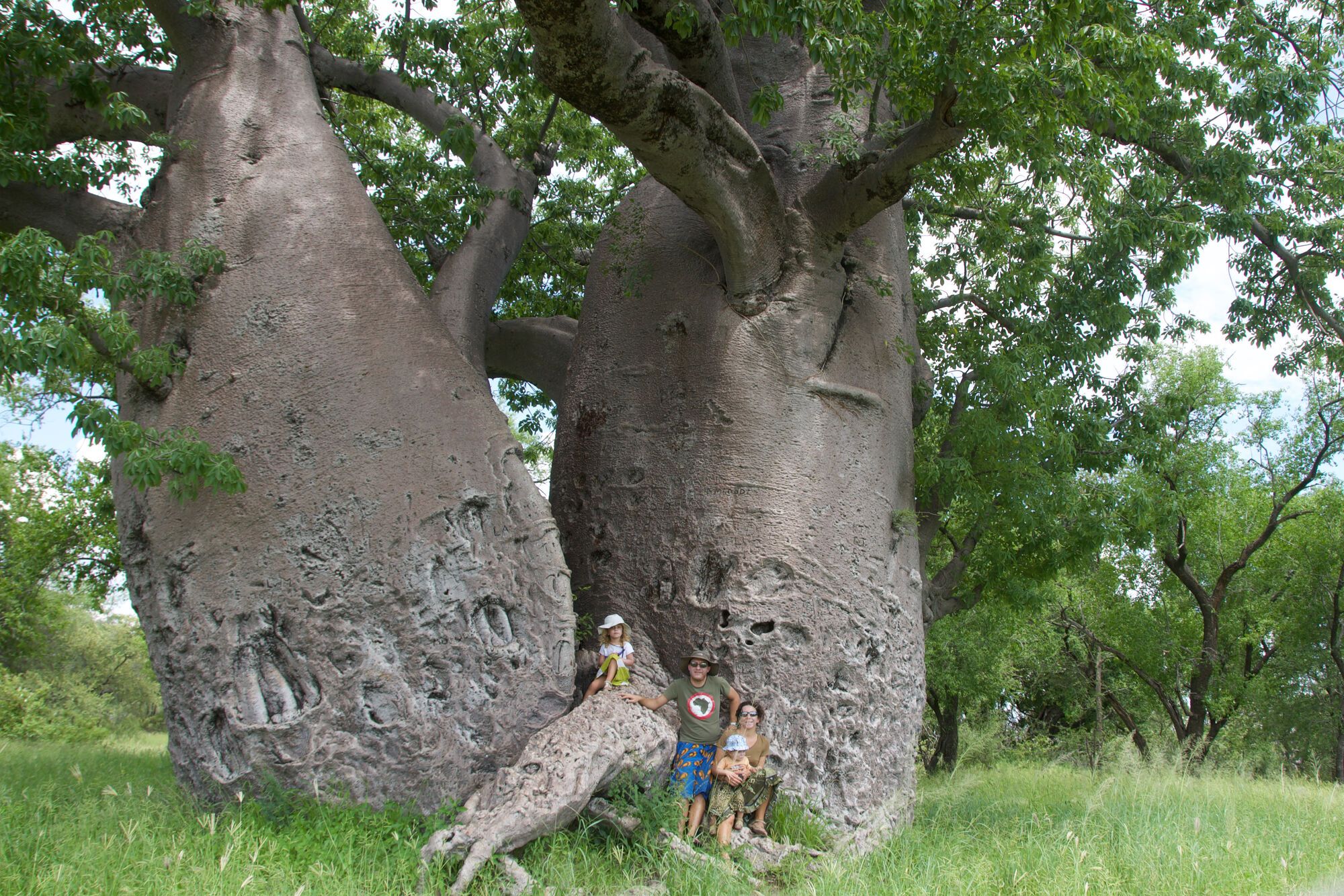 Au pied du Baobab