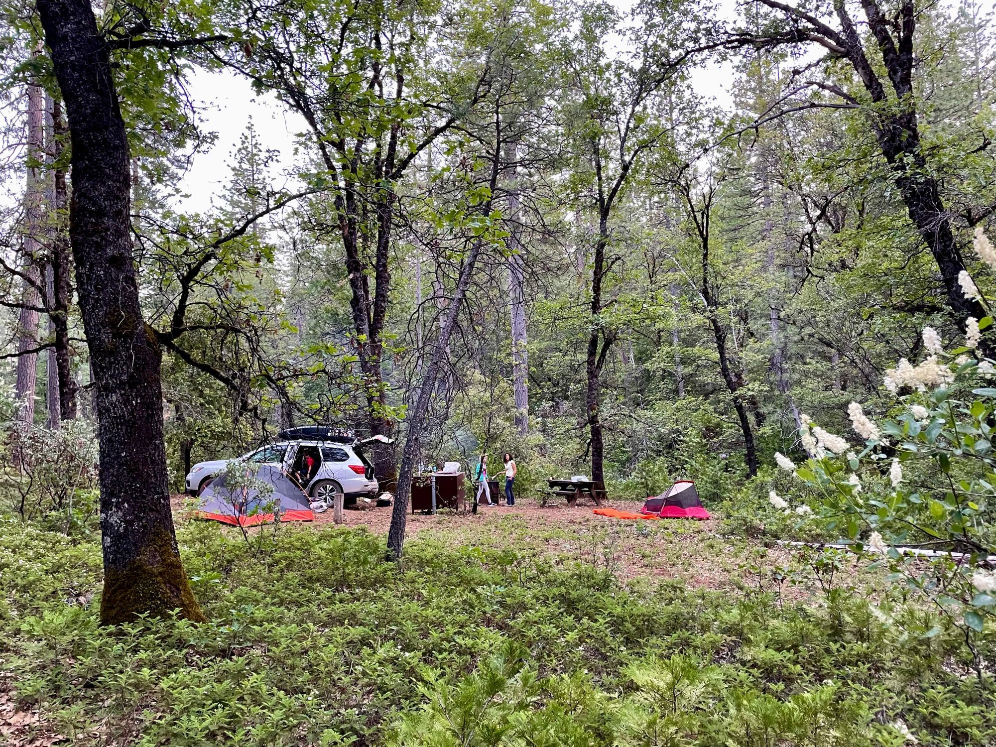 Camping au Malakoff Diggins