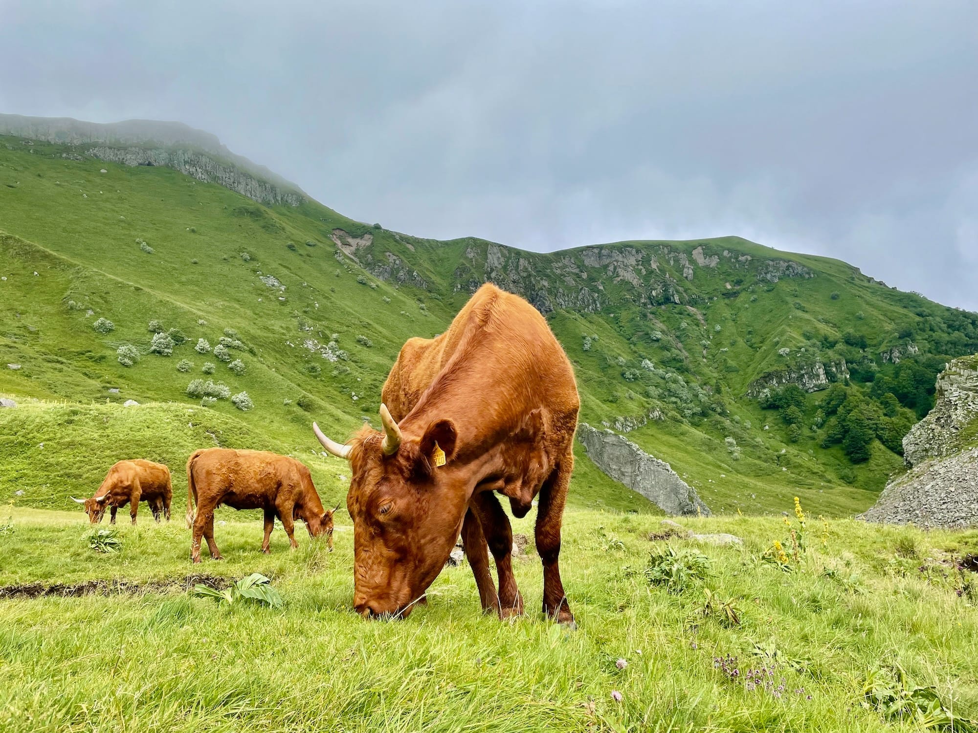 Puy de Sancy