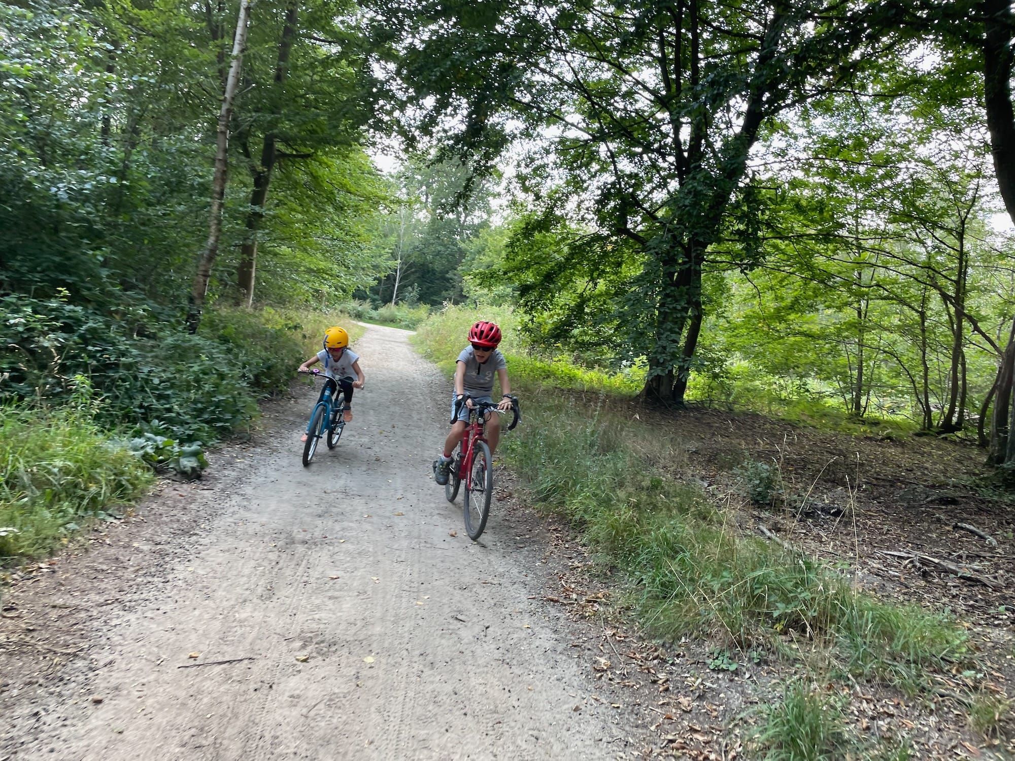 Forêt de St Germain en vélo