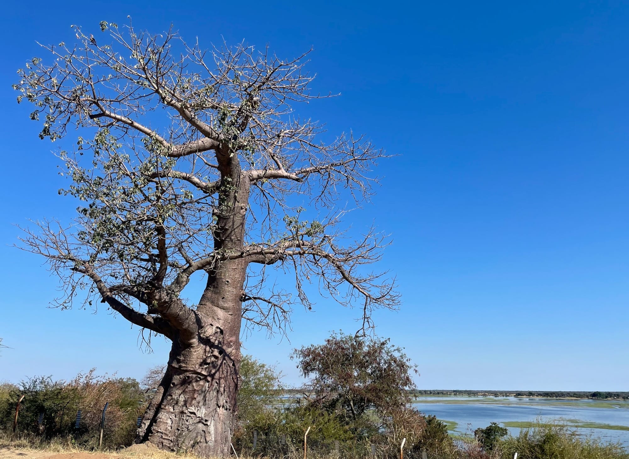 Voyage à travers le Botswana