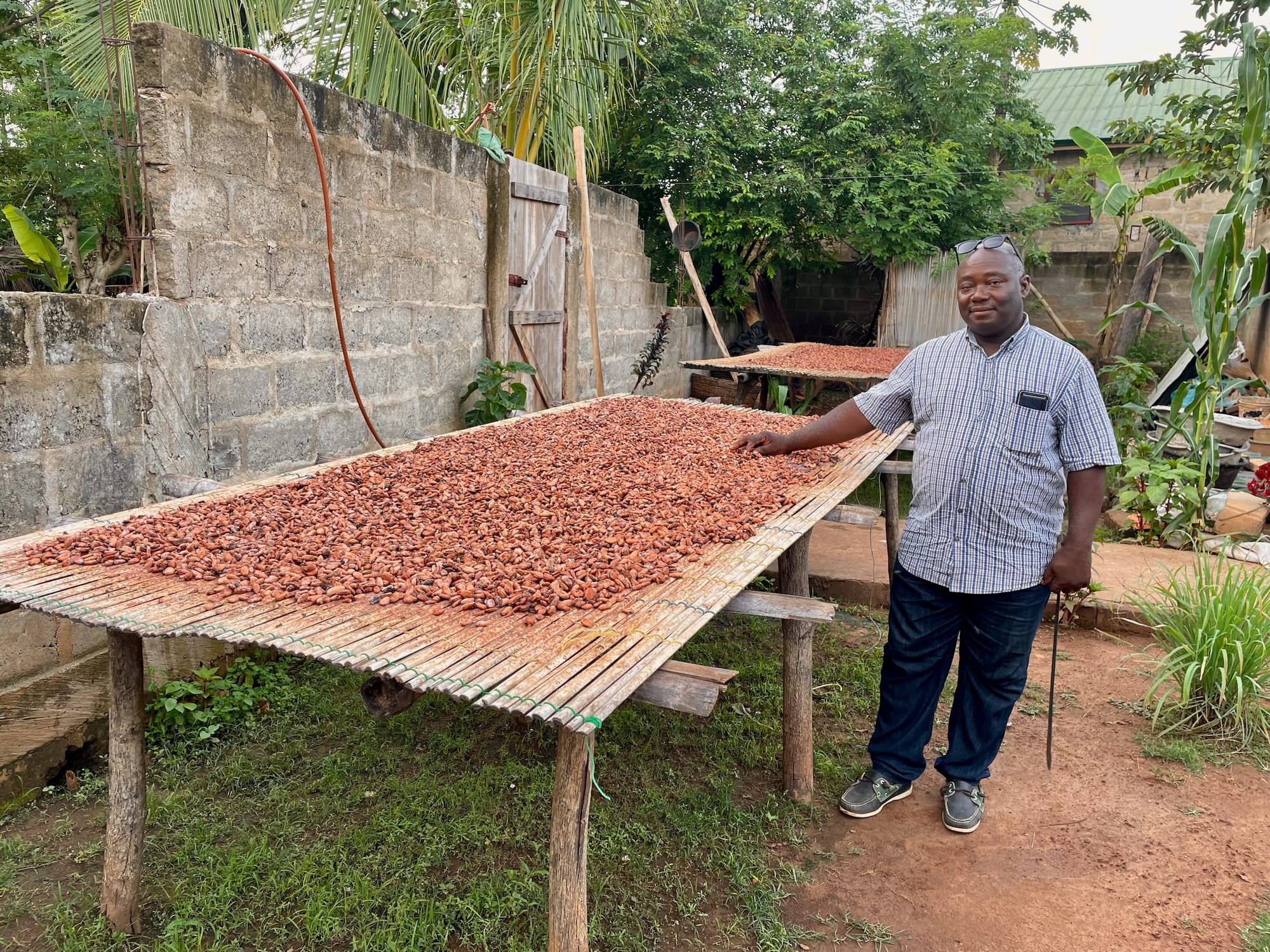 Séchage de Cacao