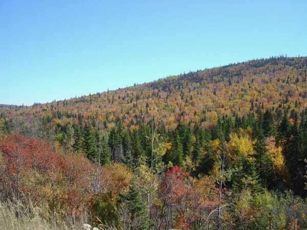 Baie St Paul