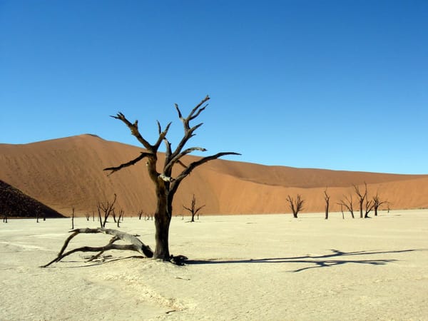 Dead Vlei