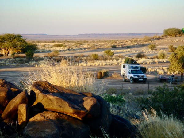 Quiver tree camp