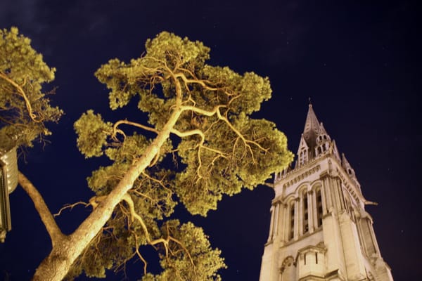 Pau, by night