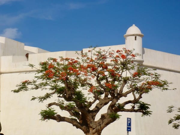 Fortaleza, rêves de grandeur