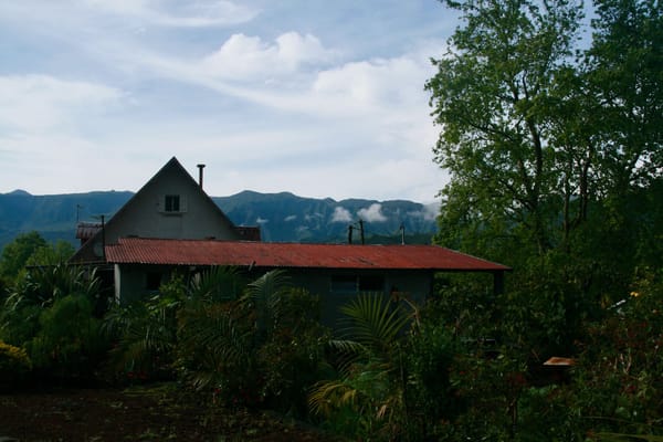 Des bassins à la plaine des Palmistes