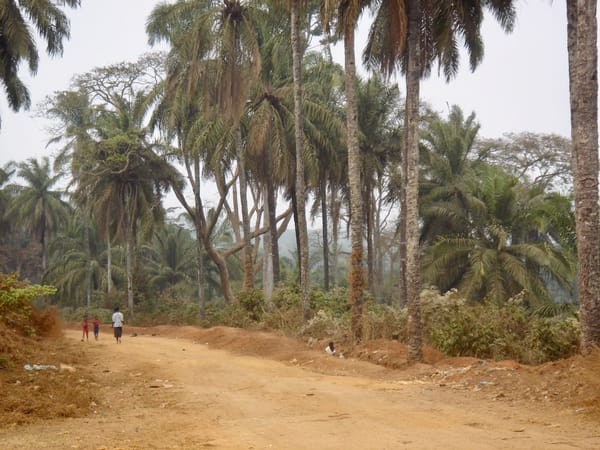 N’Dalatondo, jardin botanique