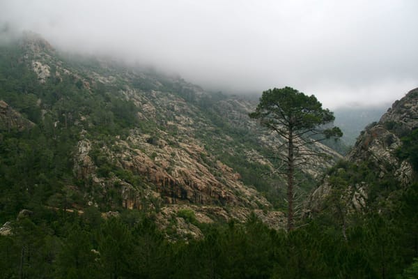 Boucle de Ficaghjola