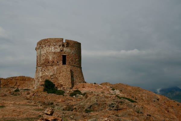 Dans la tour Génoise