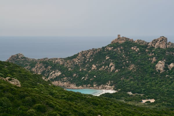 Plage aux méduses