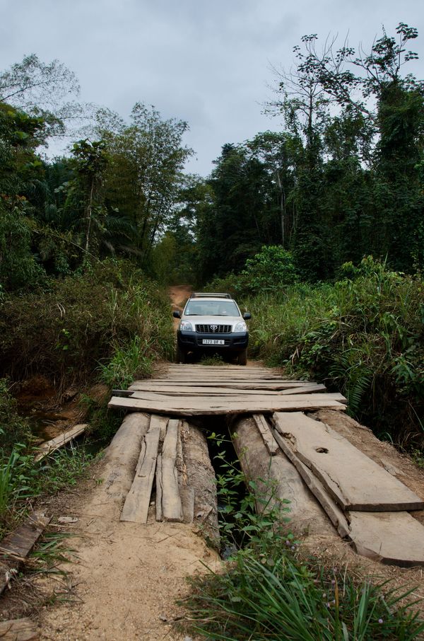 Petit pont de bois