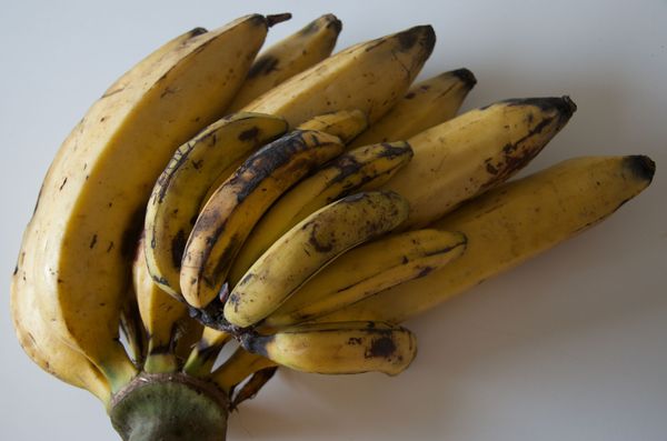 Plantain