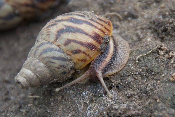 Dans le jardin de la résidence