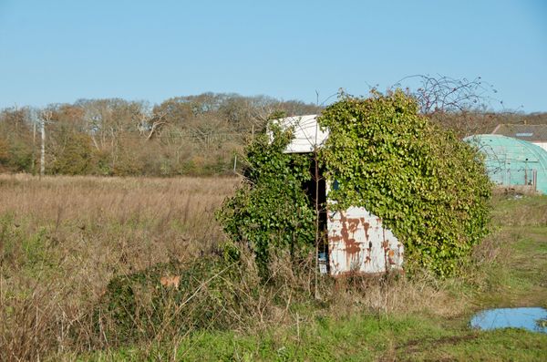 Un tour de campagne