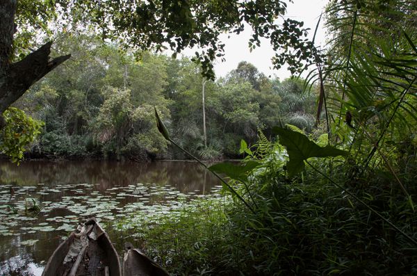 Vers le lac Tchitina