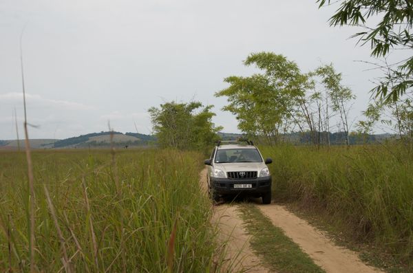 Marais de la Ntombo