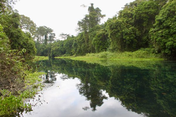 Rivière bleue