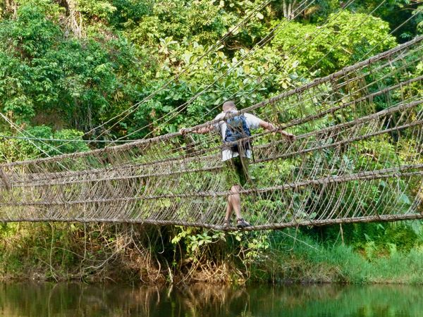 Pont de lianes sur l'Ogooué