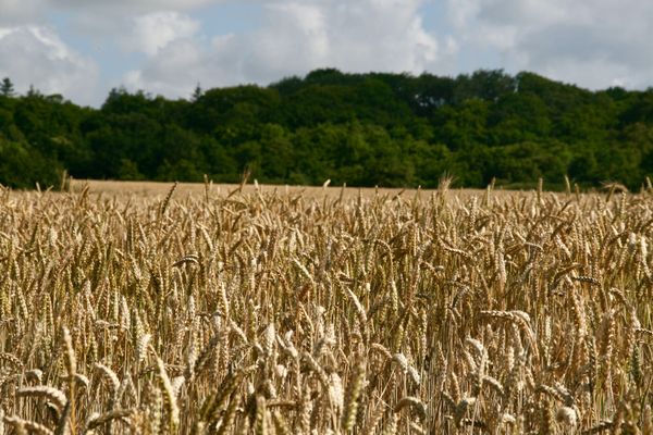 L'été en Bretagne