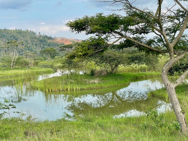 Nyandungu