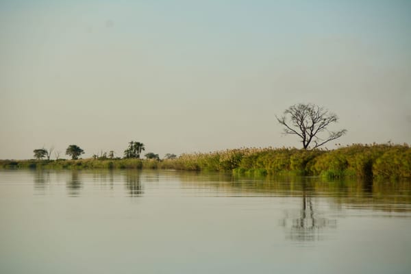 Sur l'Okavango