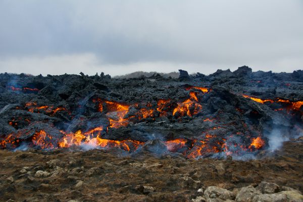 Litli - Hrútur