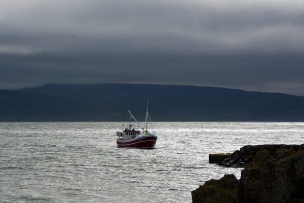 Traversée des West Fjords