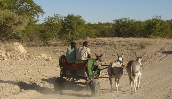 Damaraland