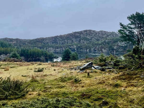 Vindeneskvarven