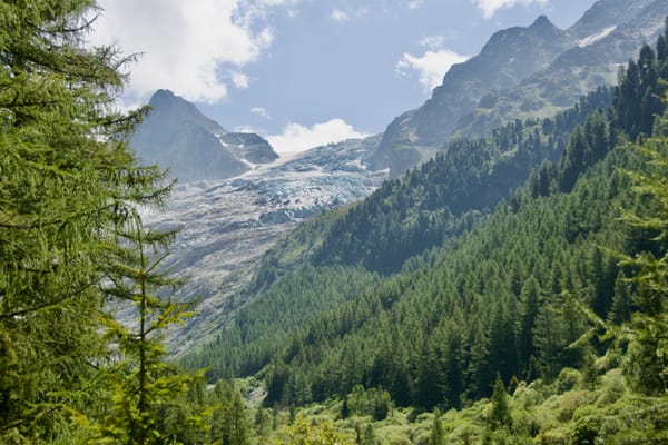 Bisse du Trient