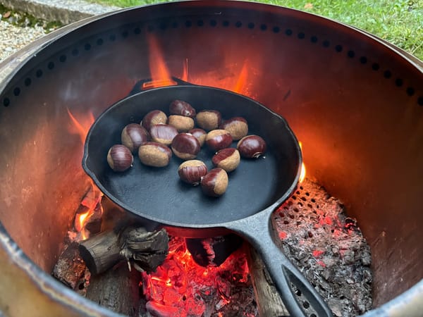 Octobre en forêt